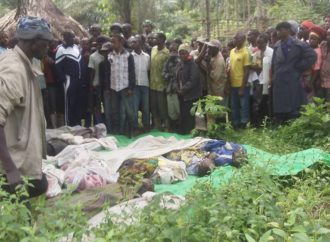 Nord-Kivu : 2 personnes tuées par les rebelles de l’ADF à Mavivi