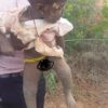 Ghana: Enterrée vivante par sa mère, une petite fille de 10 mois a été sauvée dans un buisson de la forêt du village Krobo-Akye