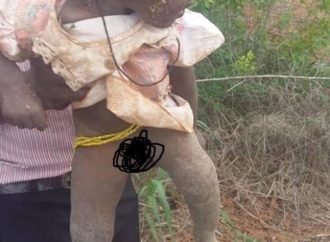 Ghana: Enterrée vivante par sa mère, une petite fille de 10 mois a été sauvée dans un buisson de la forêt du village Krobo-Akye