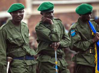 RDC : « les soldats sont très peu payés et de façon irrégulière. Ils reçoivent un traitement médical dérisoire » (HRW et GEC)