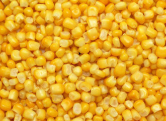 La RDC va bénéficier de 5 millions de tonnes de maïs venant de la Zambie