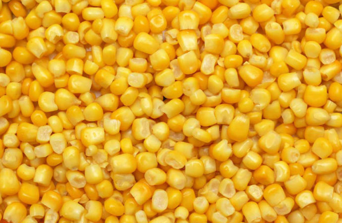 La RDC va bénéficier de 5 millions de tonnes de maïs venant de la Zambie