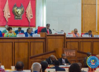 Projet budget 2020 : le VPM Mayo Mambeke attendu ce mercredi 11 décembre à la chambre haute du parlement