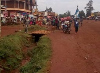 Insécurité au Nord-kivu : plus de 2500 ménages à Mangina passent nuit à la belle  étoile
