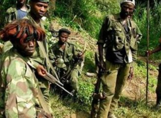 Beni: 5 combattants ADF  tués et un capturé par les FARDC au cours de l’affrontement survenu ce dimanche