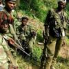Tuerie à Beni: 3 personnes égorgées par les rebelles ADF à Oïcha