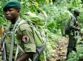 Nord-Kivu : l’ICCN dément l’information selon laquelle l’homme tué à Butembo serait son éco-garde