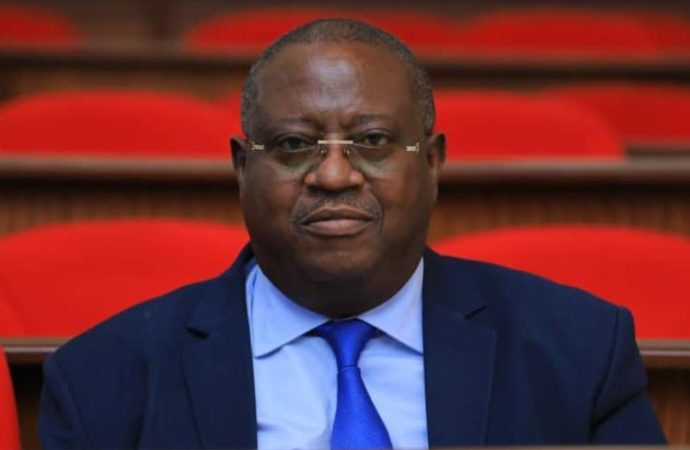 RDC: l’ACAJ se dit « vivement préoccupée par les circonstances ayant entouré la déchéance de Richard Muyej »