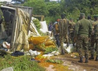La traque Congolo-Ougandaise des ADF sur le sol congolais, de quoi s’agit-il