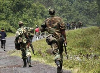 Beni : nouvel exploit des FARDC sur les rebelles ADF dans le secteur de Ruwenzori