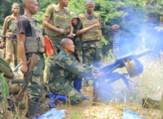 Nord-Kivu : Une dizaine de miliciens Maï-Maï tués et d’autres capturés à Beni