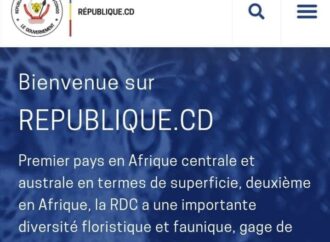 Le gouvernement congolais se dote d’une charte graphique et d’un portail numérique
