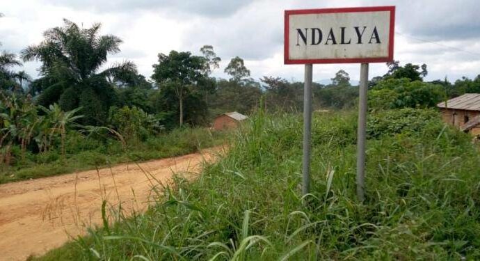 Ituri : des morts et des blessés dans une nouvelle incursion des ADF à Ndalya
