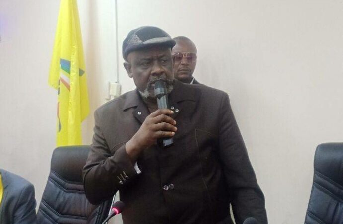 RDC: « La MONUSCO ne peut pas partir avant les élections » (Franck Diongo)
